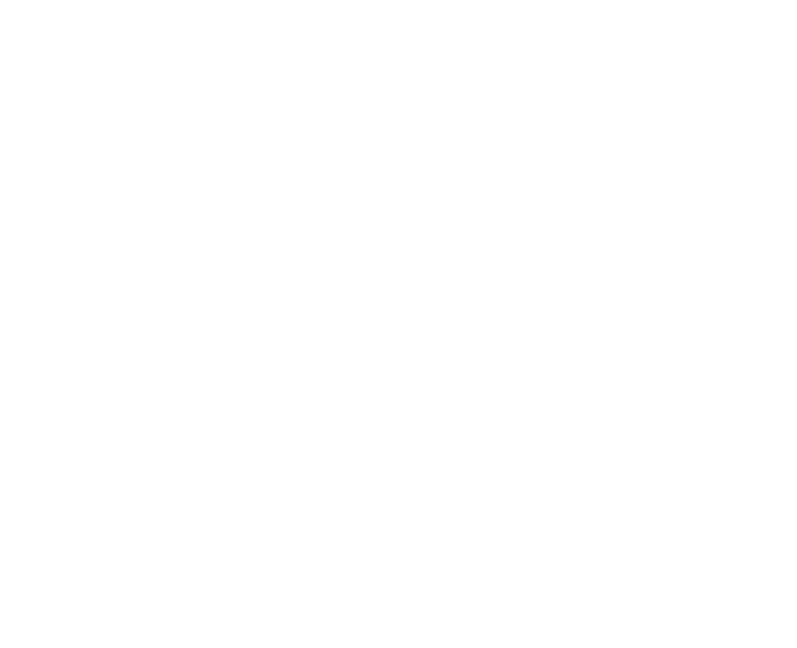 Team Cherry — desenvolvedora de Hollow Knight